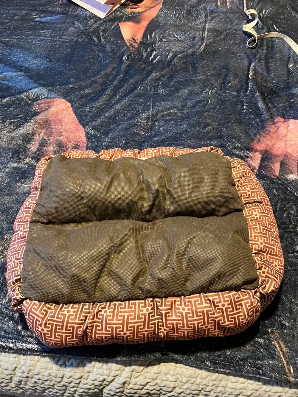 Luxury Small Pet Bed in Cream with Brown Trim